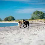 Im Ostseebad Tatil Evi Damp
