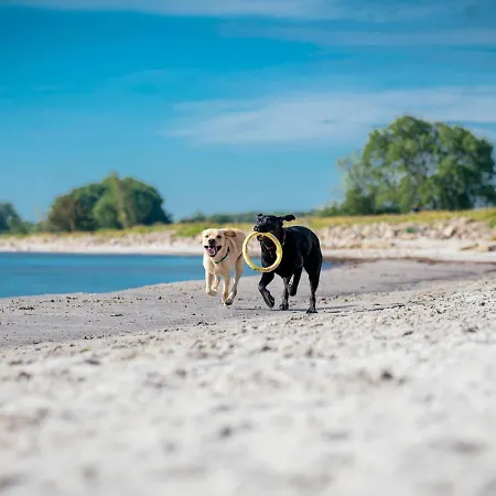 Im Ostseebad Feriehus Damp